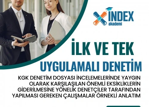 uygulamalı bağımsız denetim